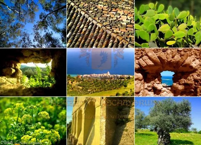 乡村民宿 马斯卡姆布鲁诺乡村民宿 *